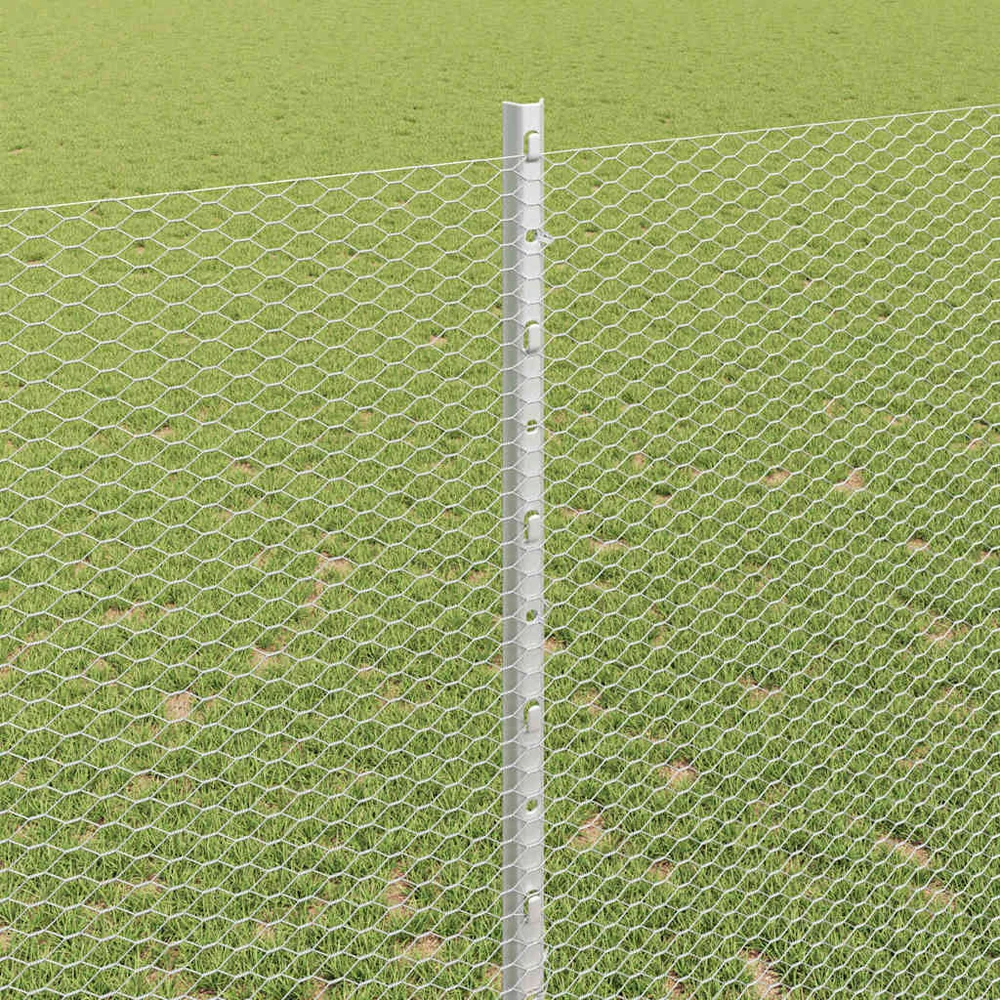 Hexagonal Fence with Post 50 x 1,4 m Galvanizuotas plienas