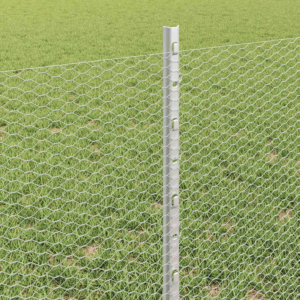 Hexagonal Fence with Post 10 x 0,6 m Galvanizuotas plienas