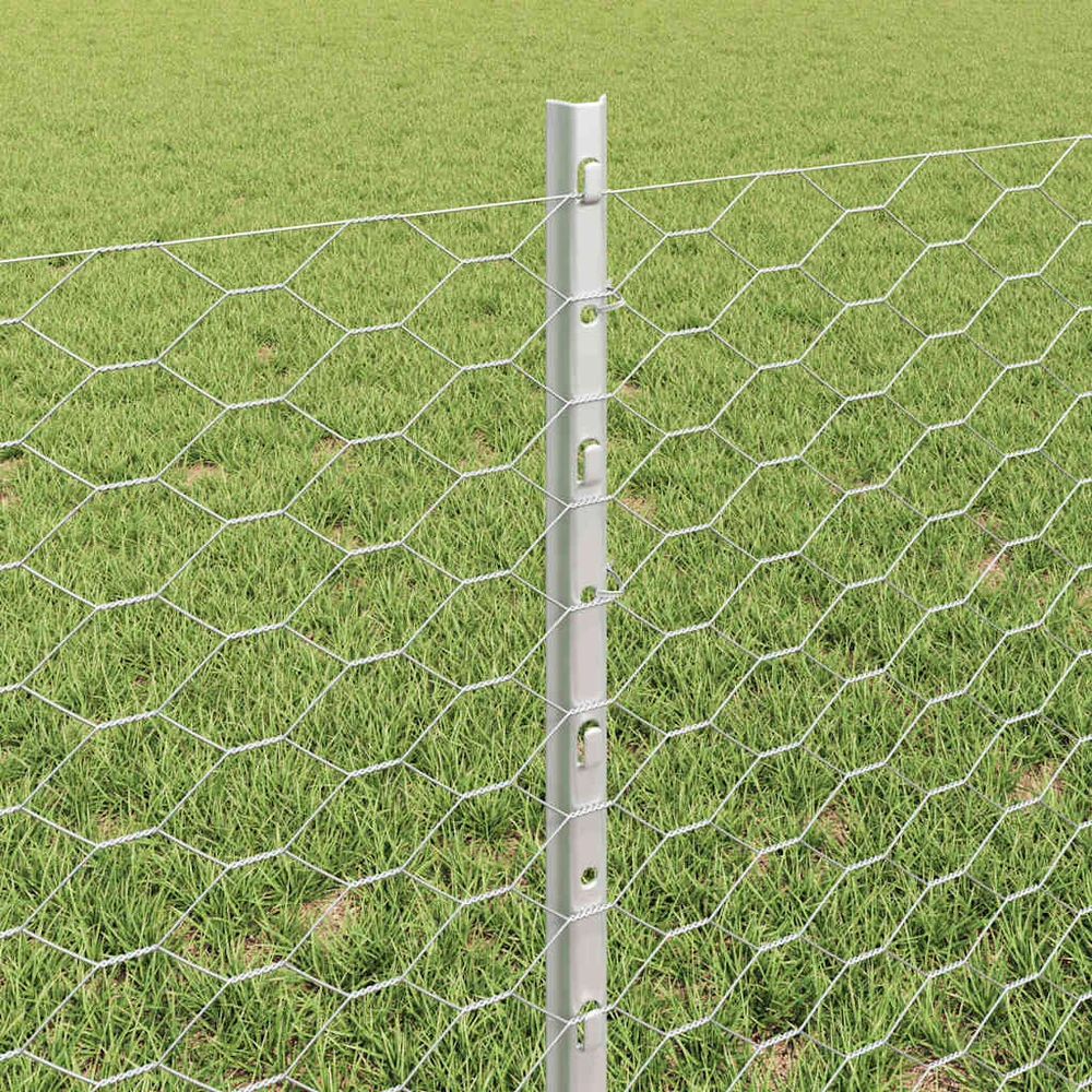Hexagonal Fence with Post 50 x 0,6 m Galvanizuotas plienas