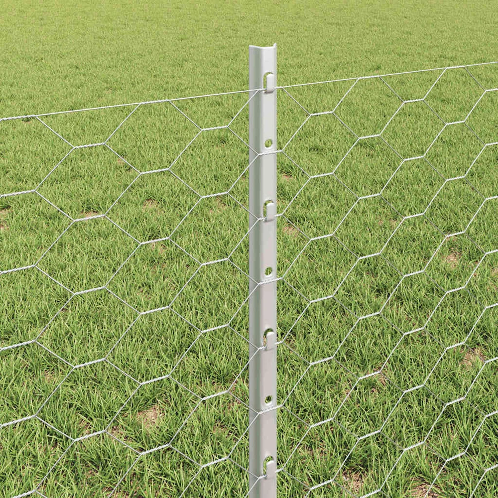 Hexagonal Fence with Post 50 x 0,6 m Galvanizuotas plienas