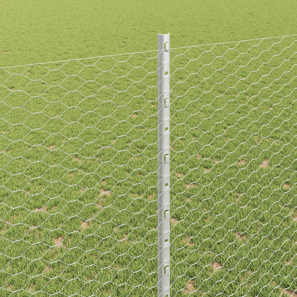 Hexagonal Fence with Post 100 x 1,6 m Galvanizuotas plienas