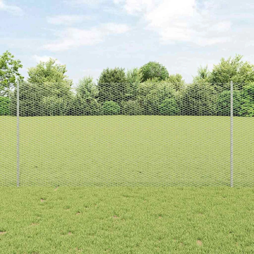 Hexagonal Fence with Post 50 x 1,2 m Galvanizuotas plienas
