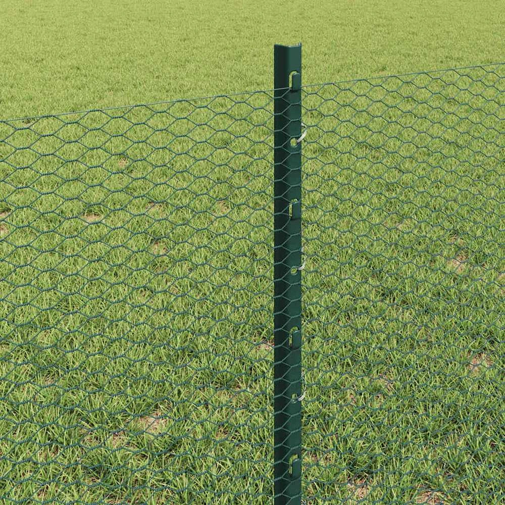 Hexagonal Fence with Post 100 x 0,6 m PVC dengtas plienas Žalia