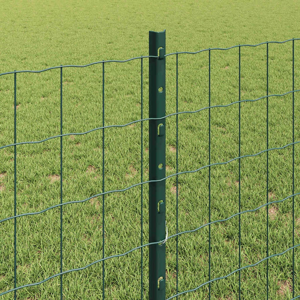 Euro tvoros su stulpu 10 x 0,8 m PVC dengtas plienas Žalia