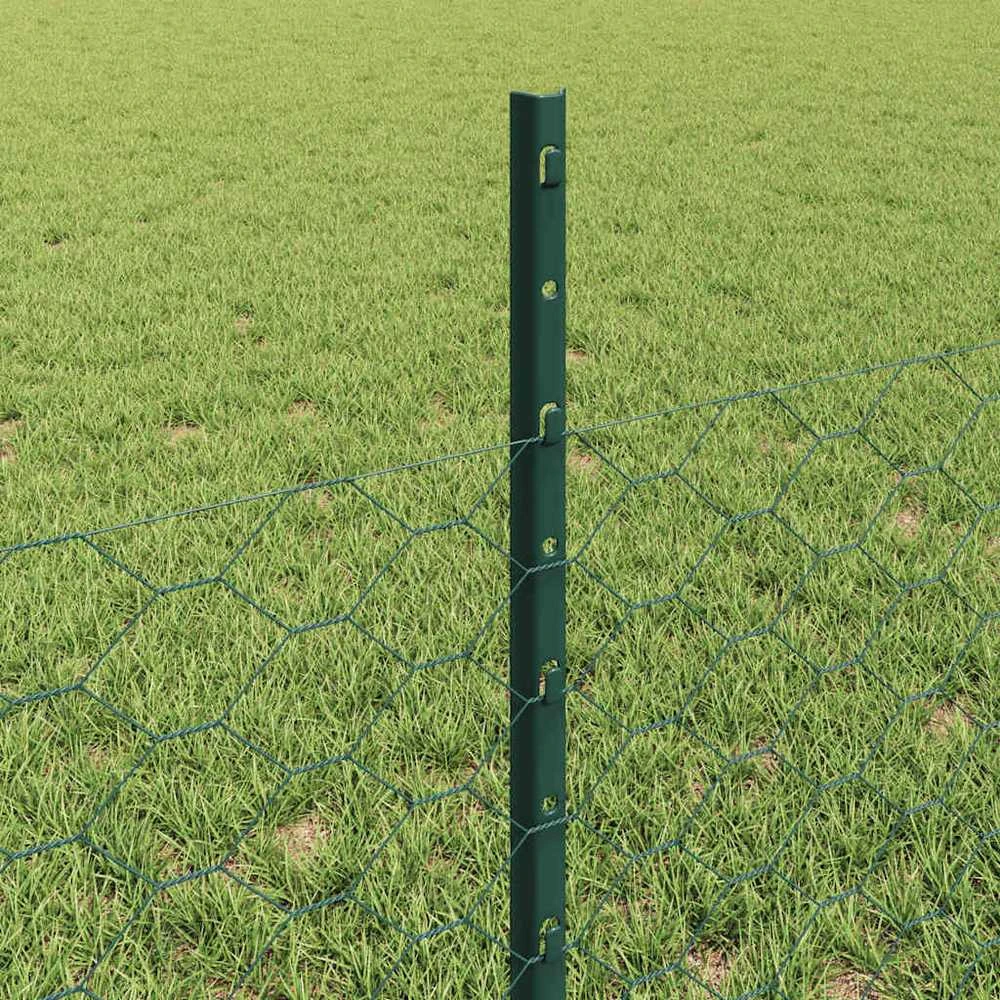 Hexagonal Fence with Post 100 x 0,5 m PVC dengtas plienas Žalia