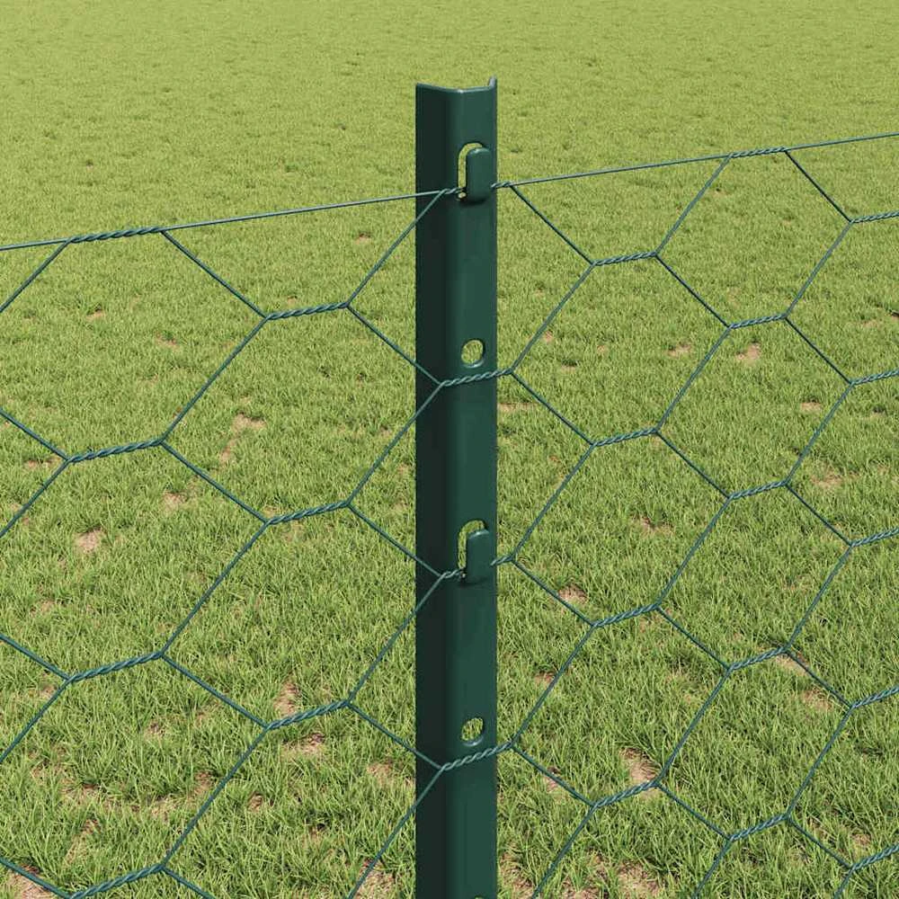 Hexagonal Fence with Post 100 x 1,2 m PVC dengtas plienas Žalia