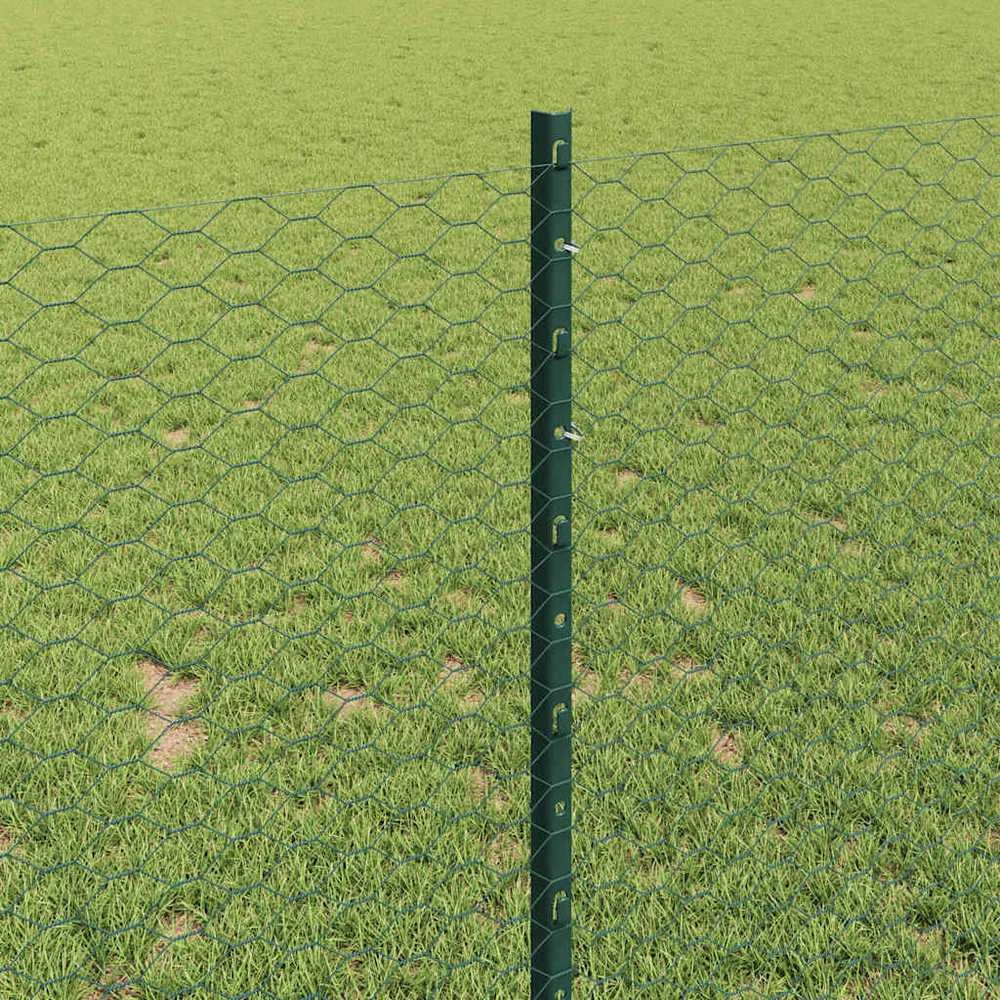 Hexagonal Fence with Post 100 x 1 m PVC dengtas plienas Žalia