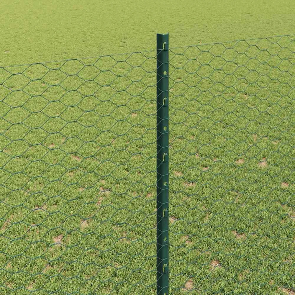 Hexagonal Fence with Post 100 x 1,6 m PVC dengtas plienas Žalia