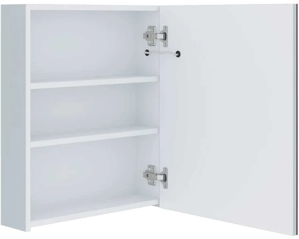 Veidrodinė vonios spintelė su LED apšvietimu, 50x13,5x60 cm