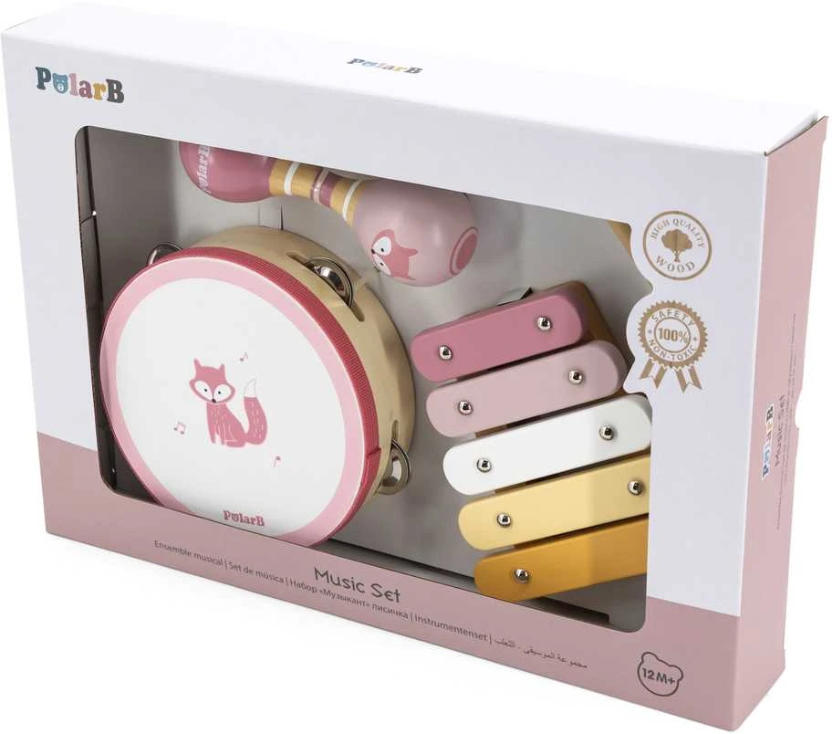 VIGA PolarB rožinis muzikinių instrumentų rinkinys