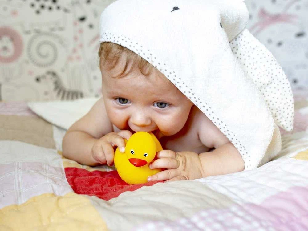 AM Tullo „Tullo“ vonios žaislas mielas ančiukų 3 vnt.