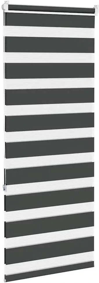 zebrinės žaliuzės 60x150 cm audinio plotis 55,9 cm poliesteris