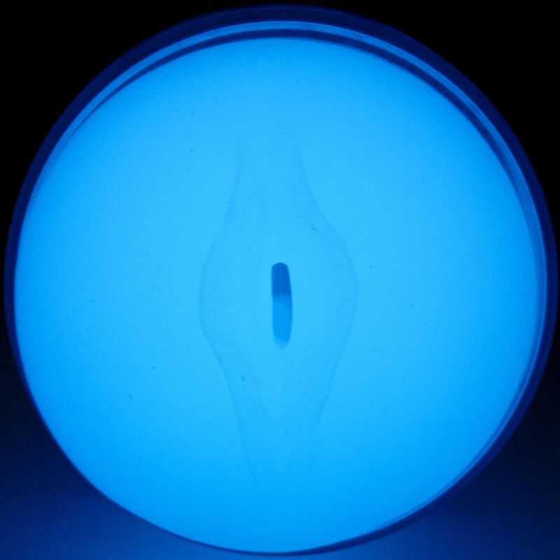 Feel by Kiiroo Glow