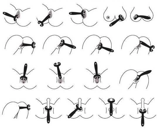 Satisfyer Endless Fun Vibratorius poroms