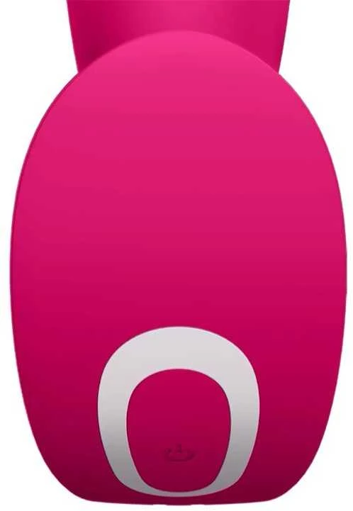 „SATISFYER TOP SECRET“ PRISIJUNGIMO PROGRAMĖLĖ