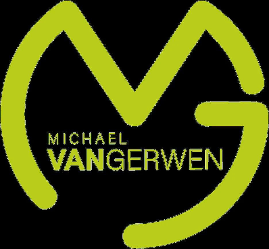 Strėlytės Winmau Ambition MvG Design, 22 g
