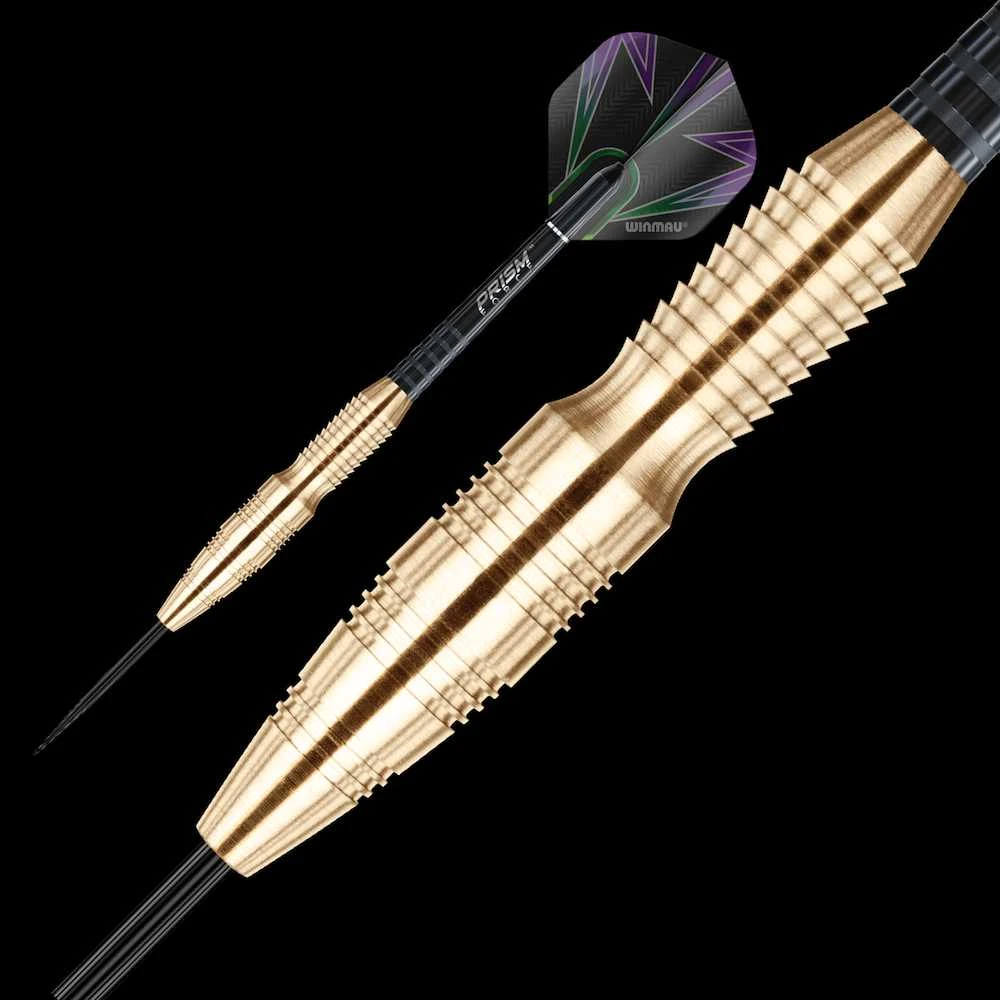 Strėlytės Winmau Simon Whitlock, 22 g