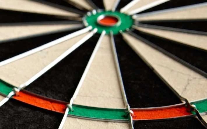Smiginio taikinys Winmau Diamond Wired