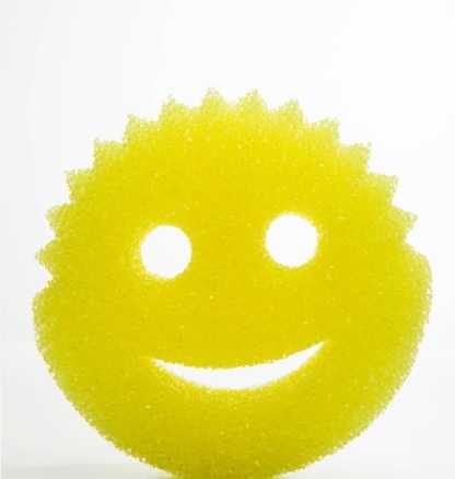 Scrub Daddy kempinės, 4 vnt.