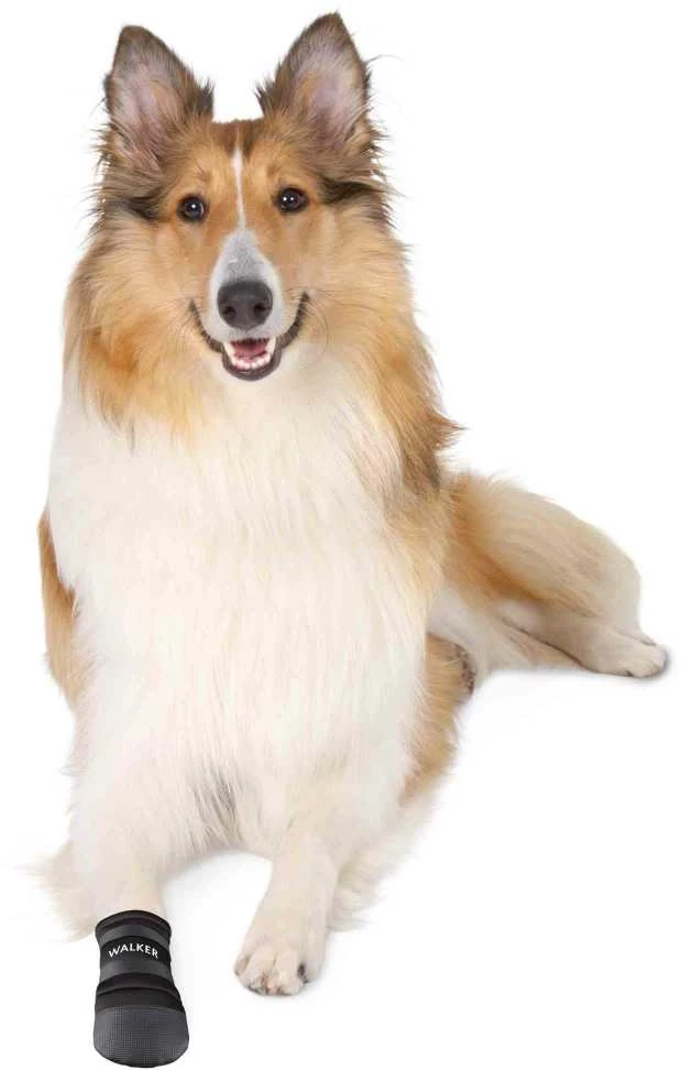 Trixie Batai šunims Walker 2vnt M 8x15cm