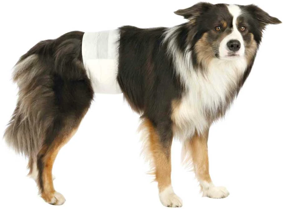 Trixie Sauskelnės šunų patinams L-XL, 1vnt. 60-80 cm