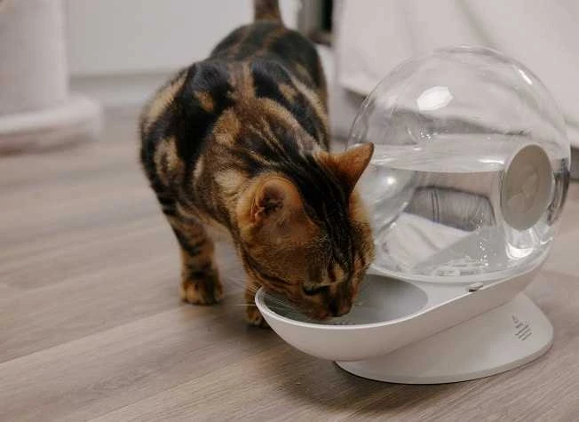Automātiskā dzirdne dzīvniekiem - Placek Cat Epic Pet Aqua ball water dispenser 2.8l/ 30cm