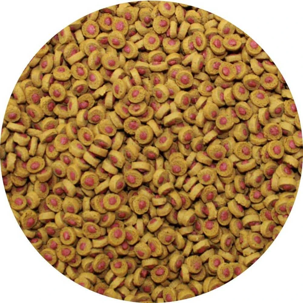 sera Koi Professional vasaros 500g