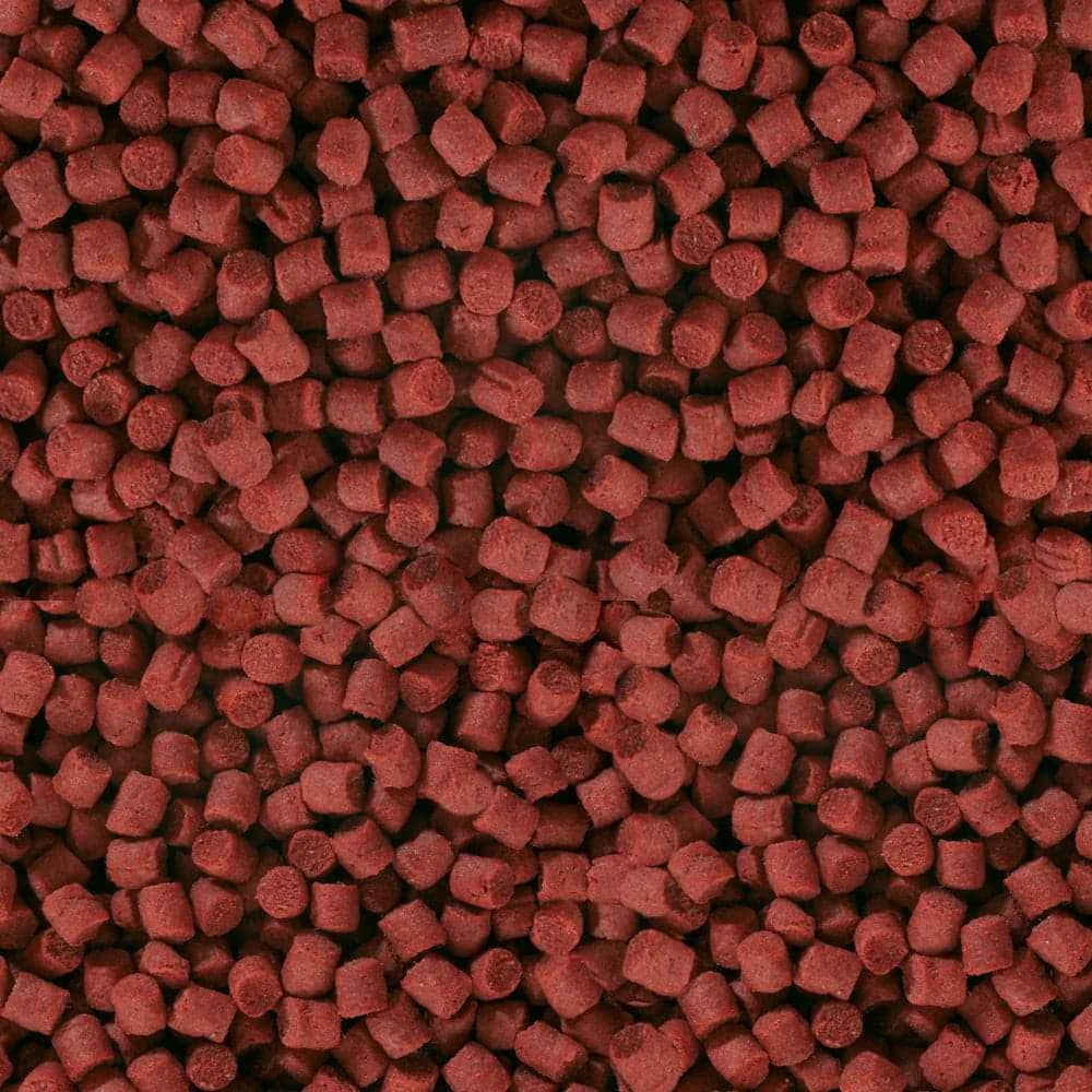 Sera Koi žieminis maistas 500g