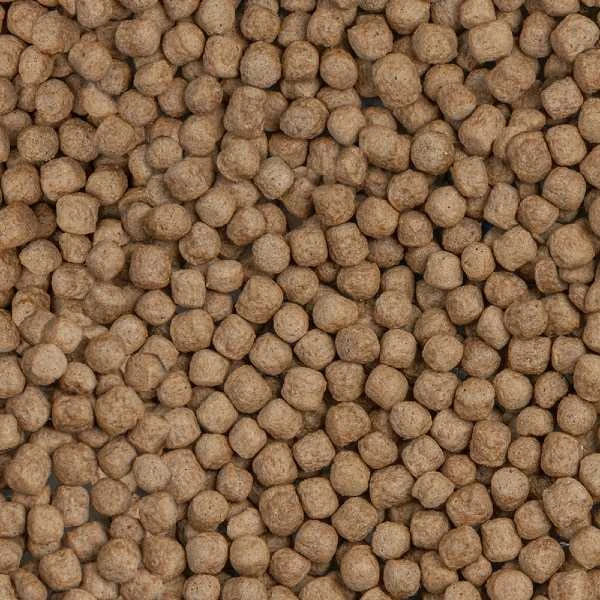 sera Koi Royal Large 3,8L (1,05kg)