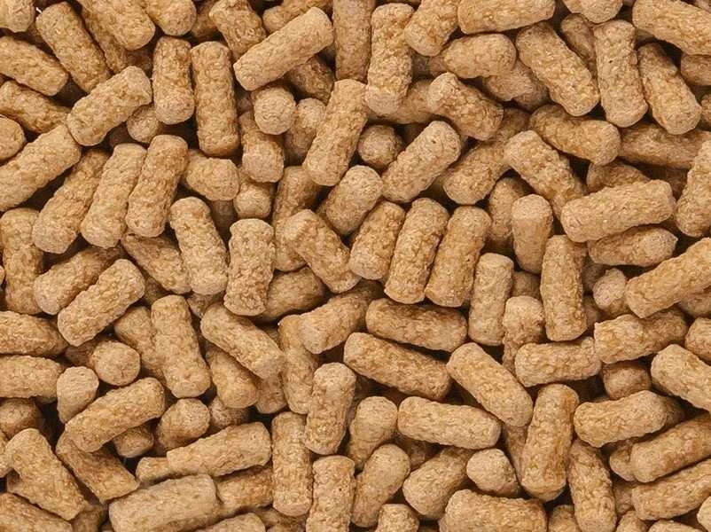 sera Vandens vėžlių suaugusiųjų mineraliniai pagaliukai 250 ml (52 g)