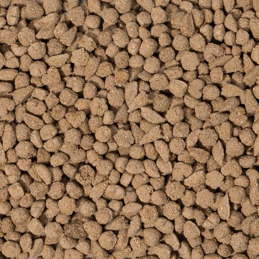 BEAPHAR Care+ Rabbit - triušių maistas - 1,5kg