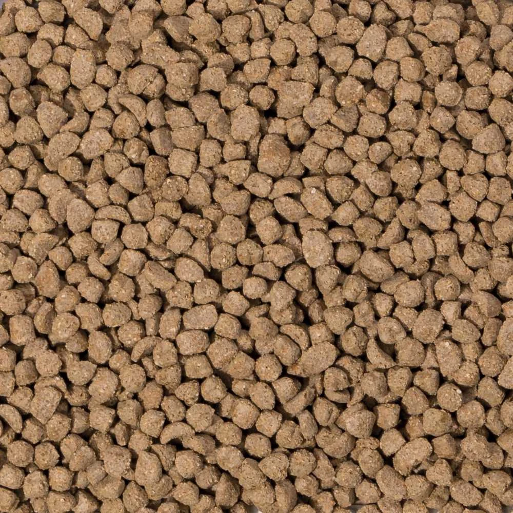 Beaphar Care+ Rabbit Junior pašaras triušiams - 1,5kg