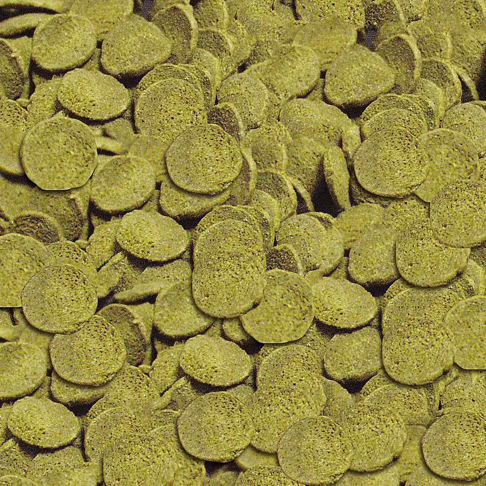 Sera WELS-CHIPS TOREBKA 15g