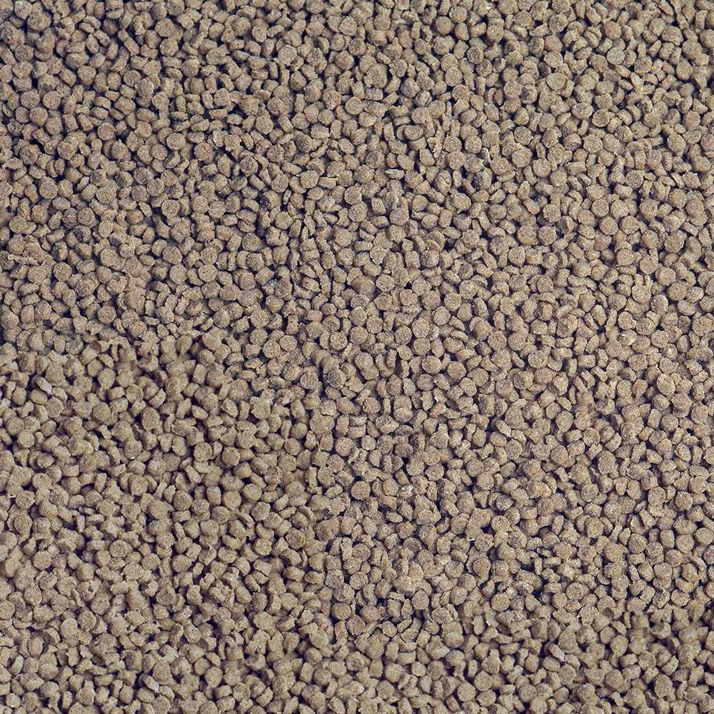 Sera GRANURED TOREBKA 20g