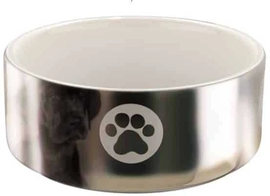 Trixie dubenėlis keramikinė su motywem, 0.3 l/ř 12 cm, sidabrinė ir/balta