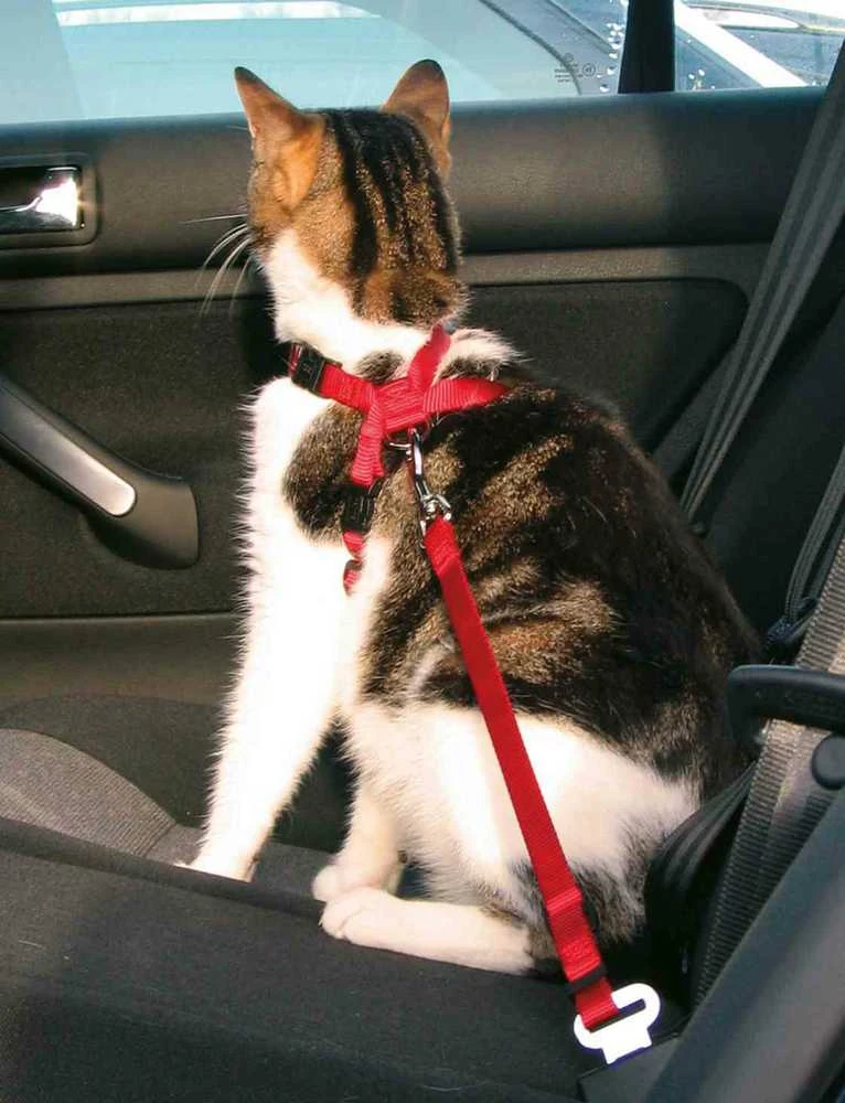 Trixie Automobilinės petnešos katei