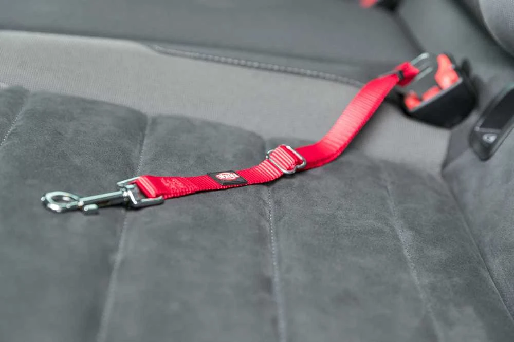 Trixie Automobilinės petnešos katei
