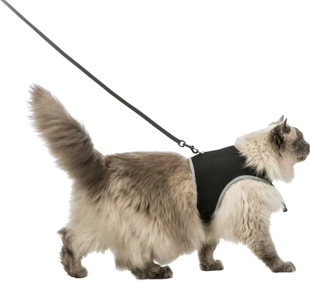 Trixie kačių pakinktai su pavadėliu, XXL, 36–54 cm, 1,20 m, juodi