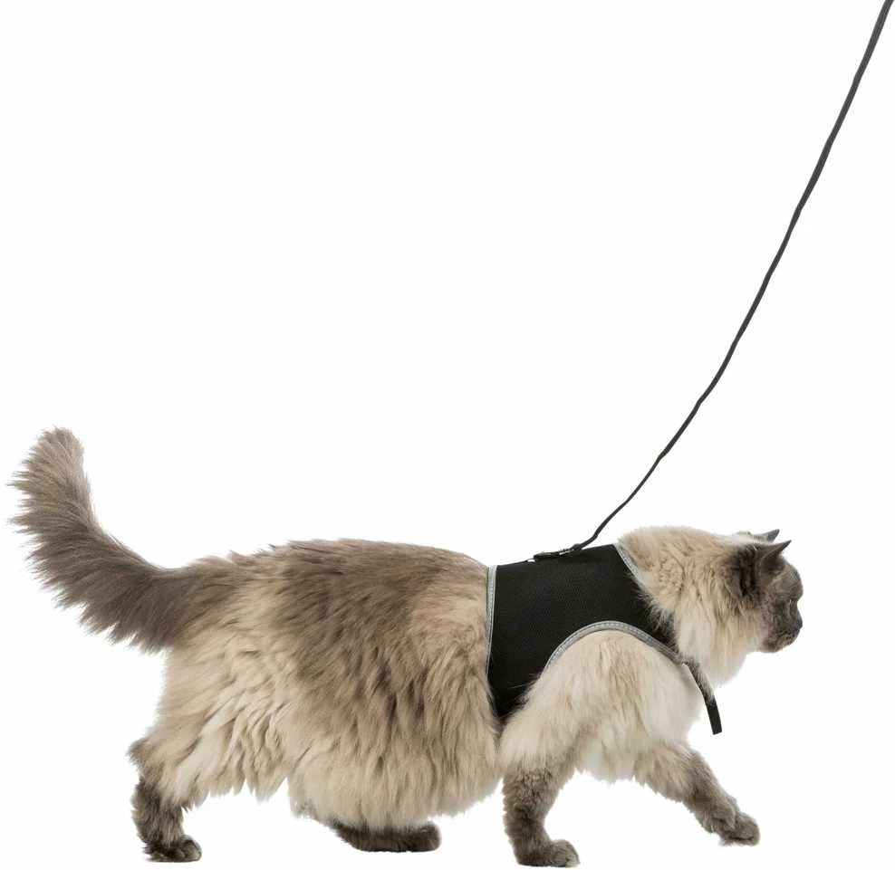 Trixie kačių pakinktai su pavadėliu, XXL, 36–54 cm, 1,20 m, juodi