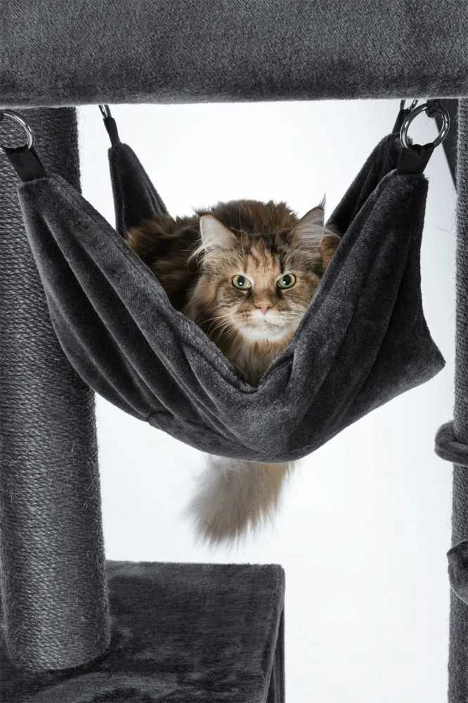 Trixie Scratching Post Amadeus XXL, 163 cm, pilka
