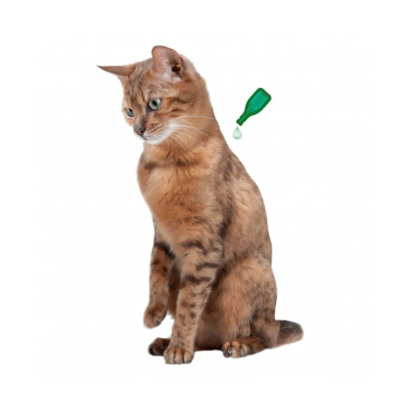 Beaphar BEA NEEM SPOT ON KITTEN