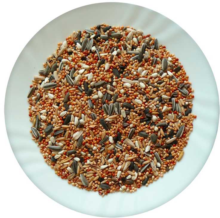 Placek Barība maziem un vidējiem papagaiļiem – Avicentra standard for small parrots, 1kg