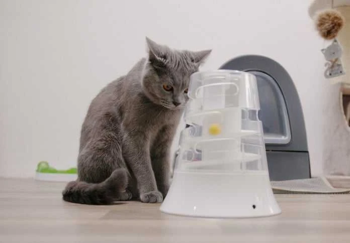 Žaislas katėms: „Placek Cat Epic Pet“ automatinis kamuoliukas-slankiklis 20 cm.