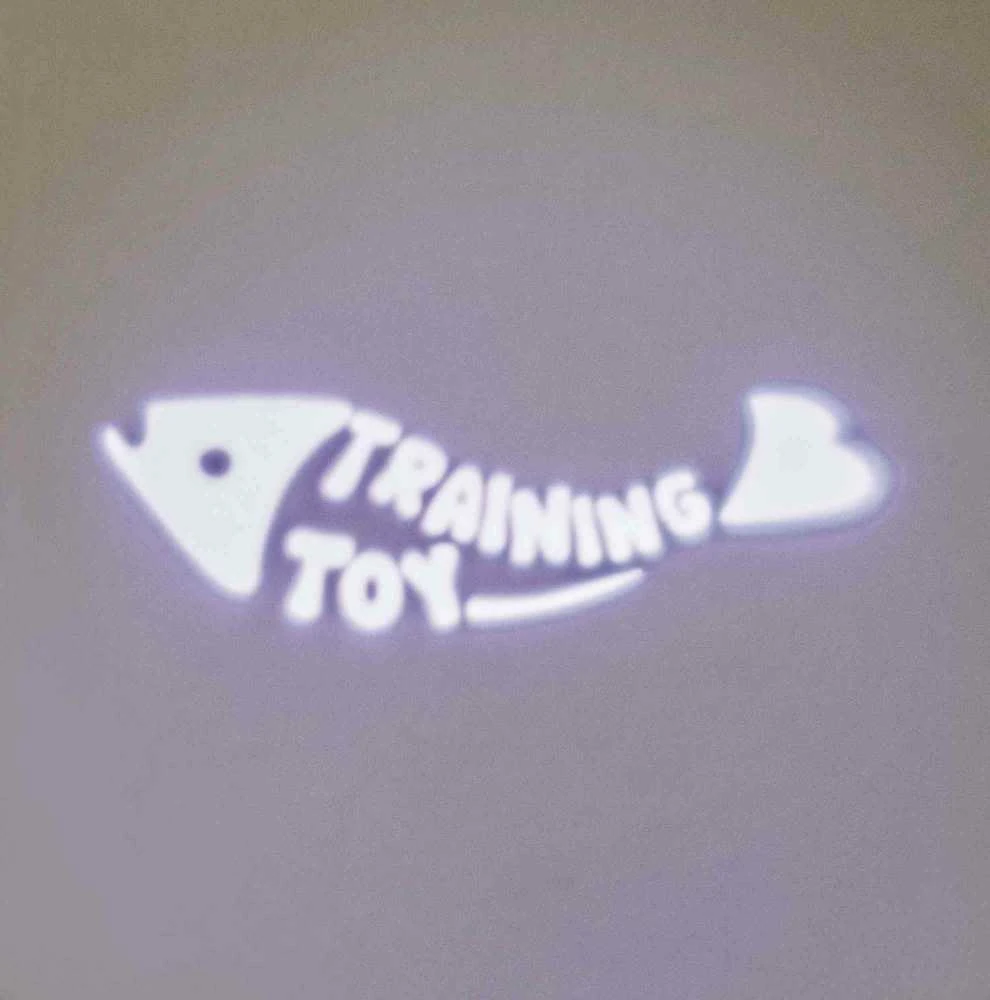 Trixie Žaislas katei LED Catch the Light 8 cm