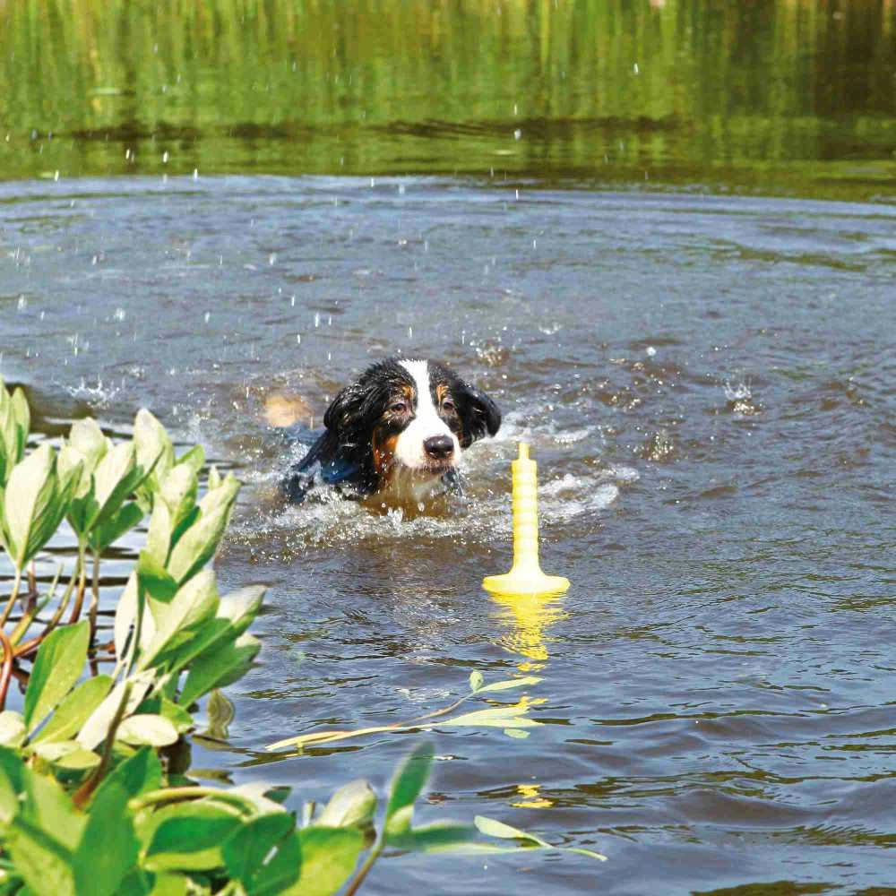 Trixie Dog žaislas "Mot-Aqua", 29 cm