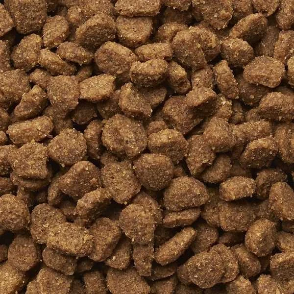 IAMS Adult Cat Hairball (vištiena) 10kg