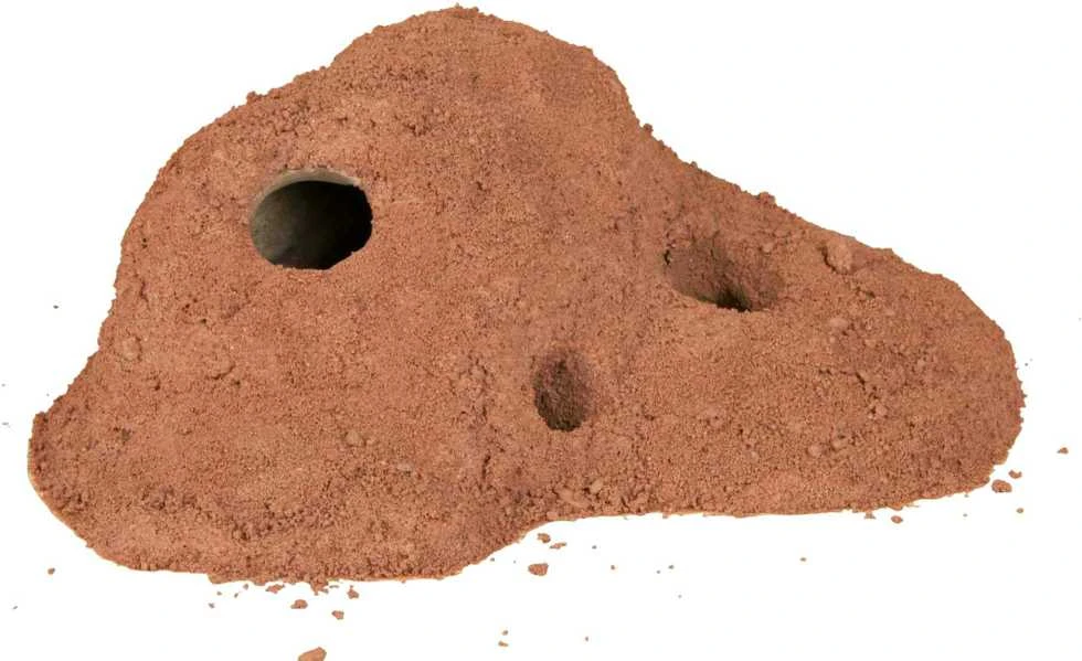 Trixie Cave smėlis terariumui 5kg raudonas