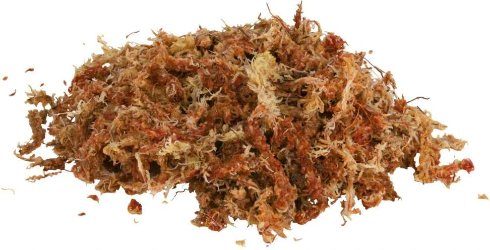 Trixie Medium Moss Sphagnum 100g