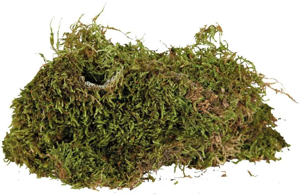 Trixie Moss, substratas drėgniems terariumams, 200 g