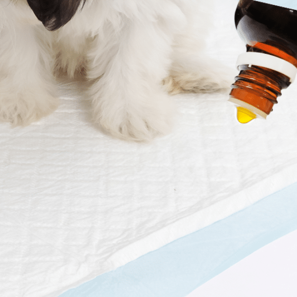 Beaphar Puppy trainer 50ml priemonė šuniuką pripratinti prie tualeto